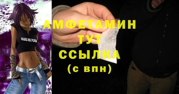 мет Бородино