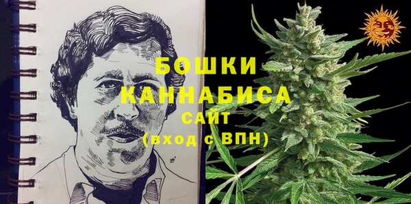 мет Бородино