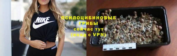 мет Верея