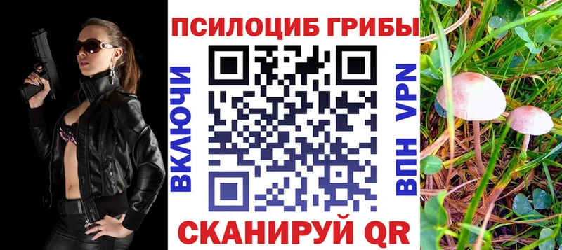Купить  Петрозаводск  Галлюциногенные грибы Psilocybine cubensis 